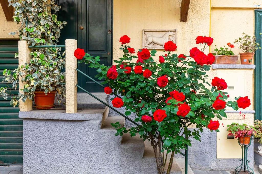 Relax Stay In A Typical Milan Courtyard - Navigli Екстер'єр фото